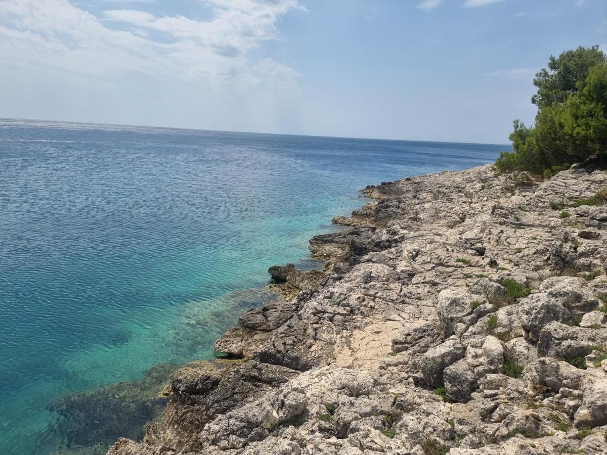 Studio Apartman بريمونتيرا المظهر الخارجي الصورة